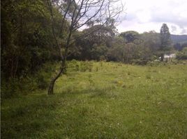  Land for sale in Rionegro, Antioquia, Rionegro