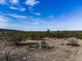  Terrain for sale in Baja California Sur, La Paz, Baja California Sur