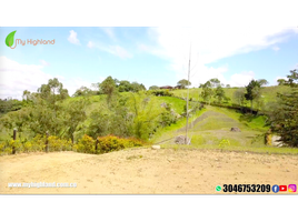  Land for sale in El Carmen De Viboral, Antioquia, El Carmen De Viboral