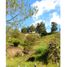 4 Habitación Villa en venta en Guarne, Antioquia, Guarne