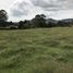  Land for sale in Rionegro, Antioquia, Rionegro, Antioquia