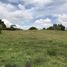  Land for sale in Rionegro, Antioquia, Rionegro, Antioquia