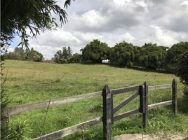  Land for sale in Rionegro, Antioquia, Rionegro, Antioquia