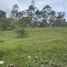  Grundstück zu verkaufen in Rionegro, Antioquia, Rionegro, Antioquia