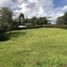  Land for sale in El Carmen De Viboral, Antioquia, El Carmen De Viboral