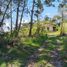 3 Schlafzimmer Haus zu verkaufen in Rionegro, Antioquia, Rionegro