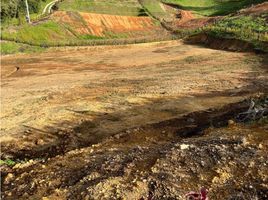  Terreno (Parcela) en venta en El Carmen De Viboral, Antioquia, El Carmen De Viboral