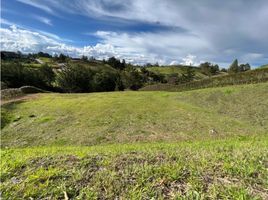  Land for sale in El Carmen De Viboral, Antioquia, El Carmen De Viboral