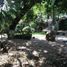 5 Bedroom House for rent in Cuernavaca, Morelos, Cuernavaca, Morelos