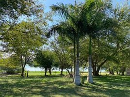 在Tuxpan, Veracruz出售的 土地, Tuxpan