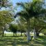  Land for sale in Tuxpan, Veracruz, Tuxpan
