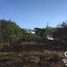  Land for sale in Emiliano Zapata, Veracruz, Emiliano Zapata