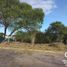  Land for sale in Emiliano Zapata, Veracruz, Emiliano Zapata