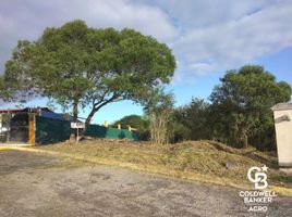  Land for sale in Emiliano Zapata, Veracruz, Emiliano Zapata