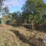  Land for sale in Emiliano Zapata, Veracruz, Emiliano Zapata