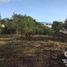  Land for sale in Emiliano Zapata, Veracruz, Emiliano Zapata