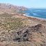 Terrain à vendre à Comondu, Baja California Sur, Comondu