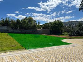  Land for sale in Tumbaco, Pichincha, Tumbaco