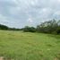  Land for sale in Comala, Colima, Comala