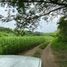  Land for sale in Comala, Colima, Comala