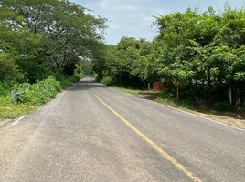  Land for sale in Comala, Colima, Comala