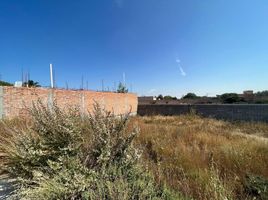  Grundstück zu verkaufen in Mexquitic De Carmona, San Luis Potosi, Mexquitic De Carmona, San Luis Potosi
