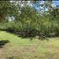 2 Bedroom House for sale in Montemorelos, Nuevo Leon, Montemorelos