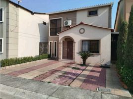 3 Habitación Villa en venta en Guayas, Daule, Daule, Guayas