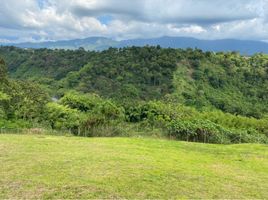  Terreno (Parcela) en venta en Armenia, Quindio, Armenia