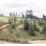  Land for sale in Marinilla, Antioquia, Marinilla