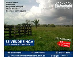  Land for sale in Cordoba, Monteria, Cordoba