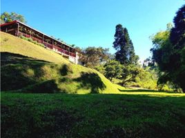 6 Habitación Casa en venta en Guarne, Antioquia, Guarne