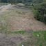  Land for sale in La Ceja, Antioquia, La Ceja