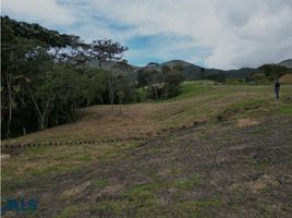  Terreno (Parcela) en venta en La Ceja, Antioquia, La Ceja