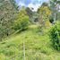  Land for sale in Narino, Antioquia, Narino