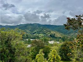  Land for sale in Narino, Antioquia, Narino