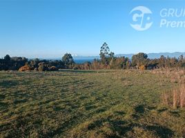  Terreno (Parcela) en venta en Calbuco, Llanquihue, Calbuco