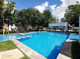 2 Schlafzimmer Appartement zu vermieten in Cozumel, Quintana Roo, Cozumel