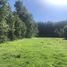  Land for sale in Curacautin, Araucania, Curacautin, Malleco