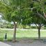  Terreno (Parcela) en venta en Corregidora, Querétaro, Corregidora