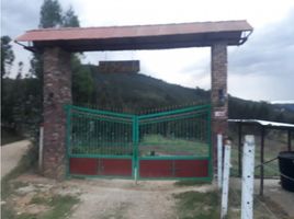 2 chambre Maison for sale in Boyaca, Tibasosa, Boyaca