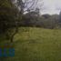  Land for sale in Rionegro, Antioquia, Rionegro