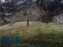  Land for sale in Rionegro, Antioquia, Rionegro