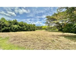  Land for sale in Jamundi, Valle Del Cauca, Jamundi