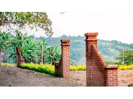  Land for sale in Santa Rosa De Cabal, Risaralda, Santa Rosa De Cabal