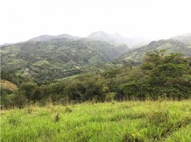  Terreno (Parcela) en venta en Quebradanegra, Cundinamarca, Quebradanegra