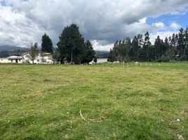  Terreno (Parcela) en venta en Cayambe, Pichincha, Cayambe, Cayambe