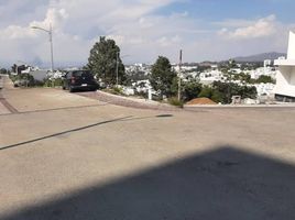  Grundstück zu verkaufen in Morelia, Michoacan, Morelia