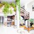2 Habitación Departamento en alquiler en Miguel Hidalgo, Ciudad de México, Miguel Hidalgo
