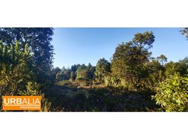  Land for sale in Puerto Montt, Llanquihue, Puerto Montt